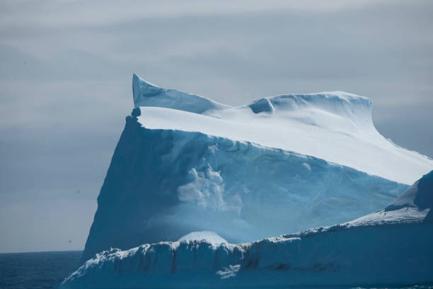 istock Antartica and the beautiful water 975241338