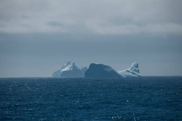 istock Antartica and the beautiful water 975241712
