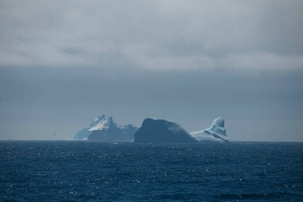 istock Antartica and the beautiful water 975241718
