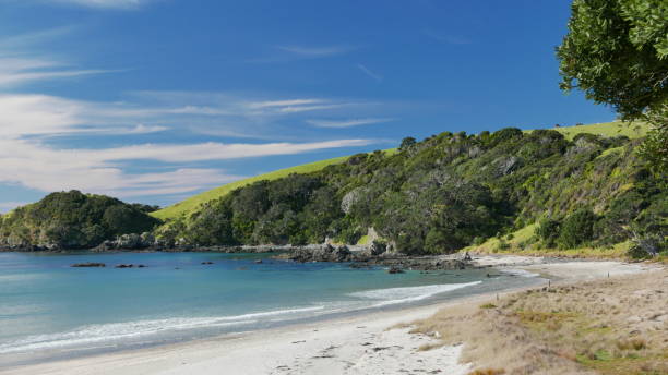 istock Tranquil New Zealand Beach 975242788