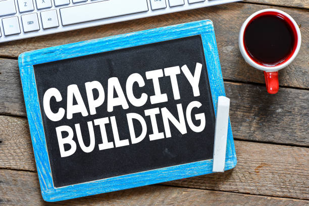 istock CAPACITY BUILDING handwritten with white chalk on a blackboard on wood background 975249484