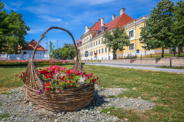 City museum in Vukovar View of a large straw basket with flowers in a park with the City museum located in the Eltz castle in the background  in Vukovar, Croatia. eltz castle croatia stock pictures, royalty-free photos & images