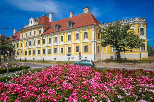 City museum in Vukovar A view of the pink flowers with the City museum located in the Eltz castle in Vukovar, Croatia. eltz castle croatia stock pictures, royalty-free photos & images