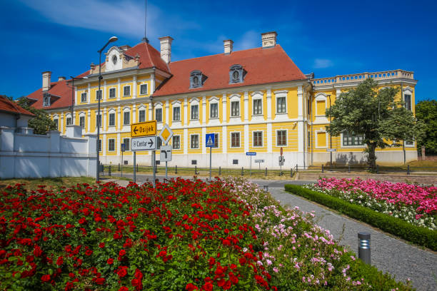 City museum in Vukovar A view of the flowers in park with the City museum located in the Eltz castle in Vukovar, Croatia. eltz castle croatia stock pictures, royalty-free photos & images