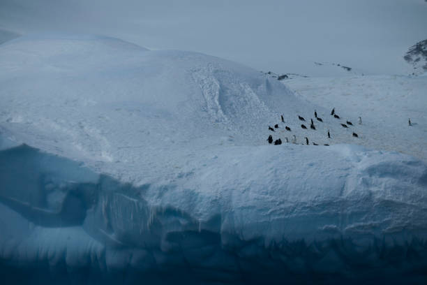 istock Beautiful Antartica mountains and ocean water 975256478