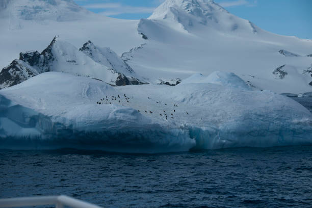 istock Beautiful Antartica mountains and ocean water 975256494