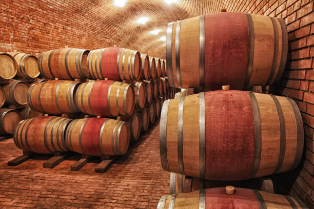 istock Wine barrels in wine-vaults in order 975274084