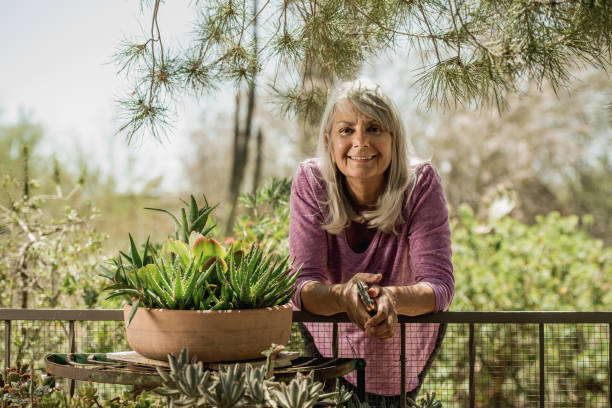 istock Grandmother working in garden 975274158