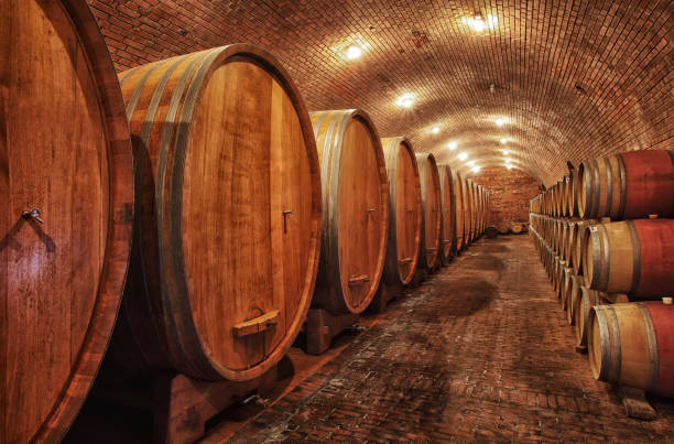 istock Wine barrels in wine-vaults in order 975274186