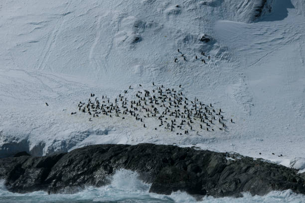 Photos of antartica