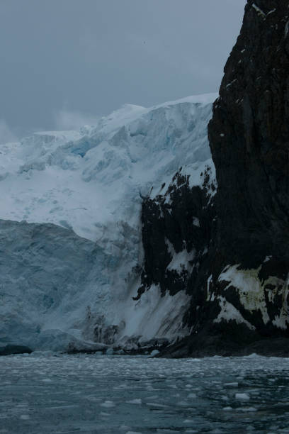istock Antartica and its penguins 975289362