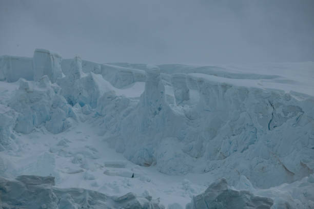 istock Antartica and its penguins 975289388