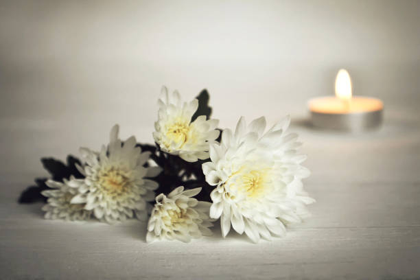 kerze und blumen weiß - chrysantheme stock-fotos und bilder