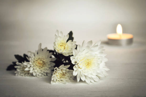 velas y blanco flores - crisantemo fotografías e imágenes de stock