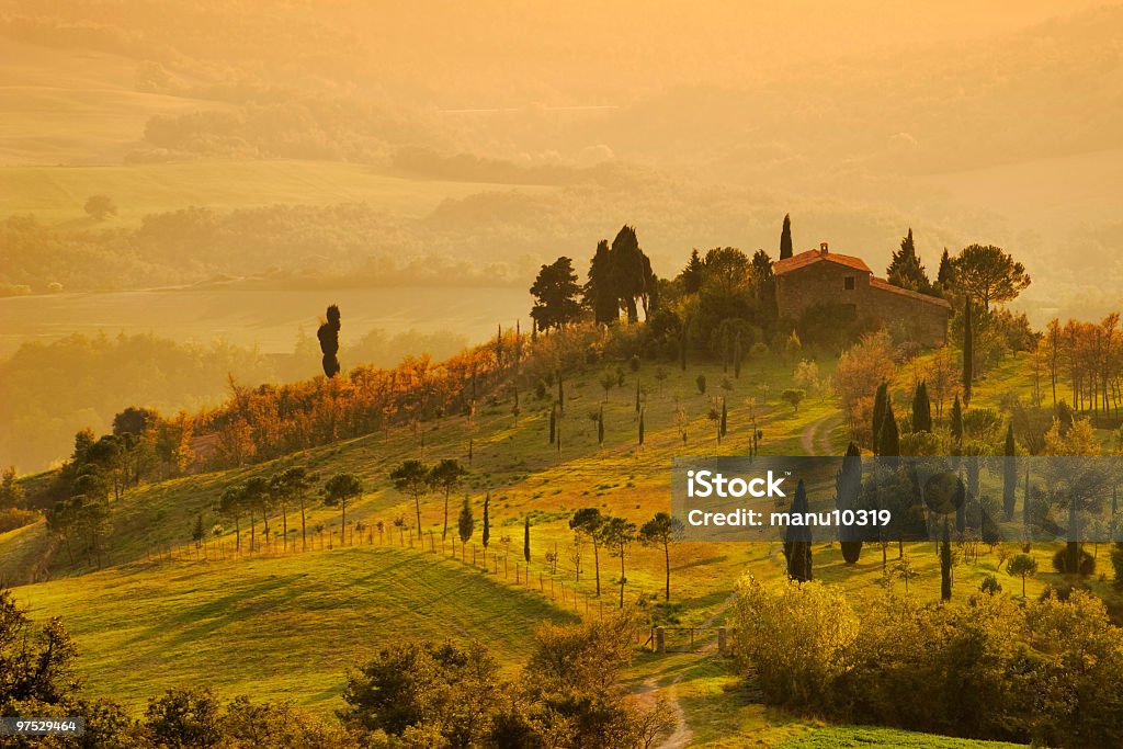 Painting of Tuscany farm at sunrise typical tuscany farm in the autumn 

[url=/my_lightbox_contents.php?lightboxID=2497620][img]http://www.photoinsel.de/istock/tuscany_lb.jpg[/img][/url] Tuscany Stock Photo