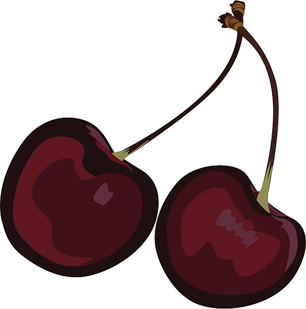 Two ripe wild cherries vector art illustration