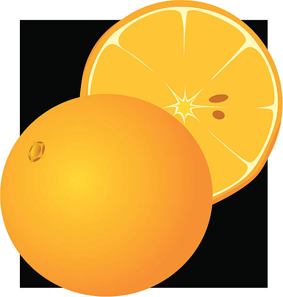 oranges vector art illustration