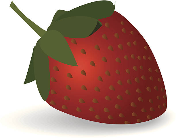 Strawberry vector art illustration