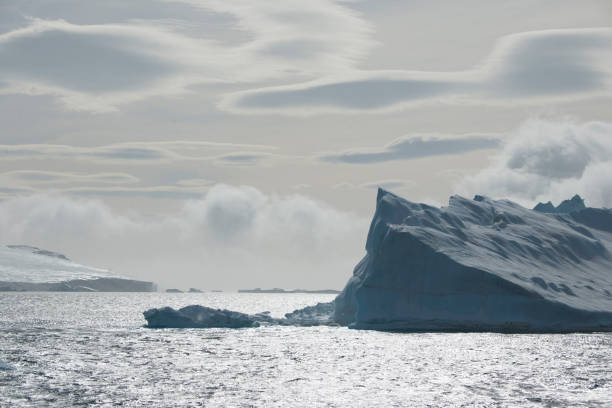 istock Antartica and wild life 975307548