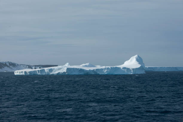 istock Antartica and wild life 975307554