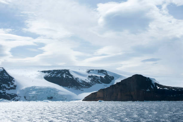 istock Antartica and wild life 975307734