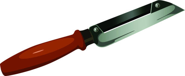 knife and peeler vector art illustration