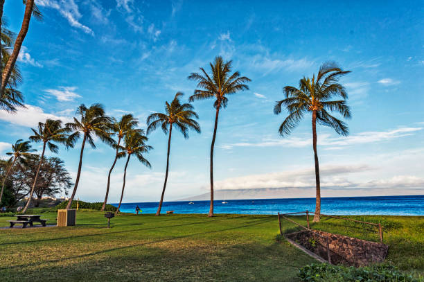 istock Ocean Side Kaanapali Views in Maui 975314784
