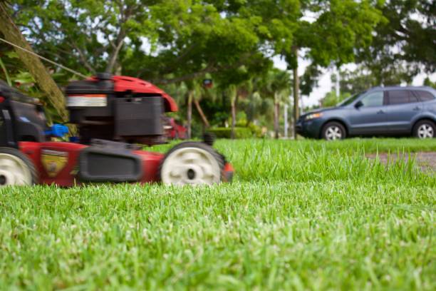 istock mower cutting tall grass,intentionally blurred to show action 975316068