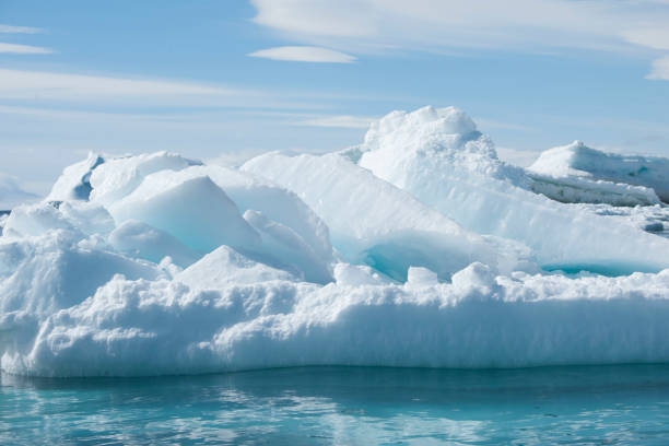 istock Antartica and its cute wildlife 975316582