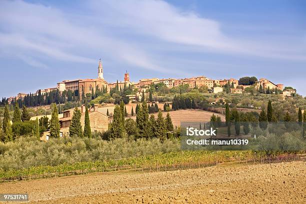 Pienza - Fotografie stock e altre immagini di Agricoltura - Agricoltura, Albero, Albero sempreverde