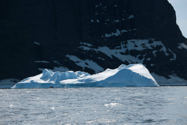 istock sea lions and Antarctica 975329178