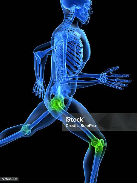 Foto de Saudável Articulações e mais fotos de stock de Anatomia - Anatomia, Articulação Humana - Termo anatômico, Articulação humana