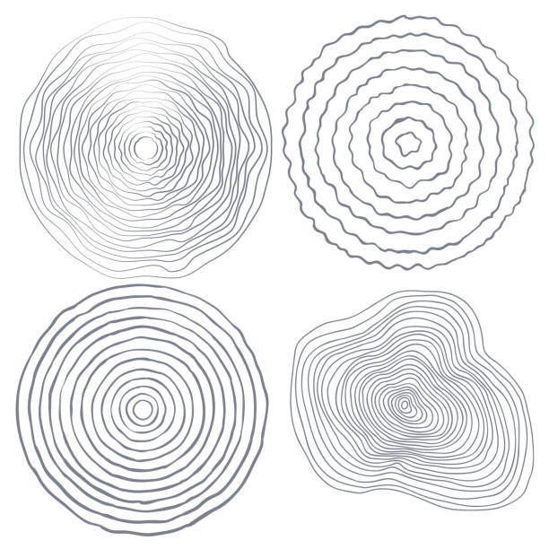 ilustrações, clipart, desenhos animados e ícones de alianças de árvore vetorial fundo, topographic conceito de fundo do mapa - bark isolated part of white