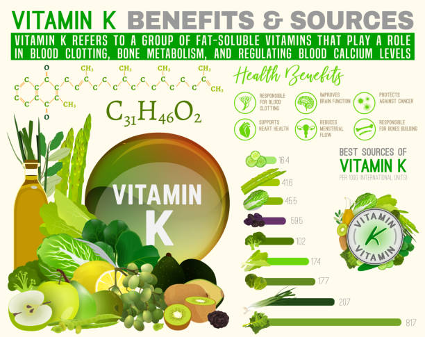 ilustrações, clipart, desenhos animados e ícones de infográfico de vitamina k - vitamin k illustrations