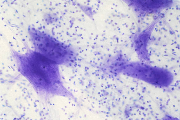 istock Neurons cells from the brain under the microscope view for education. 975379974