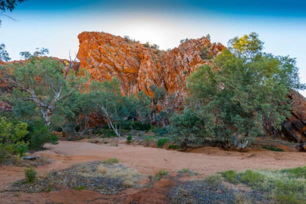 эмили гэп, алис-спрингс, австралия - aborigine grass family australia indigenous culture стоковые фото и изображения