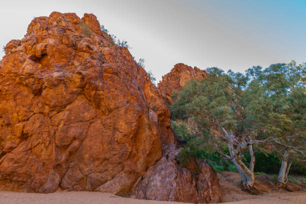 эмили гэп, алис-спрингс, австралия - aborigine grass family australia indigenous culture стоковые фото и изображения