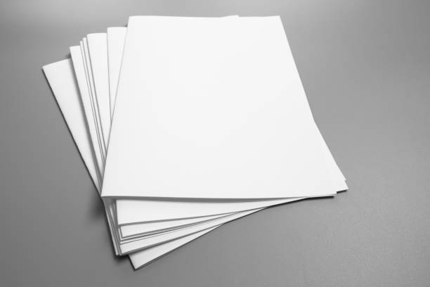 istock Blank portrait A4. brochure magazine isolated on gray, changeable background / white paper isolated on gray 975439862