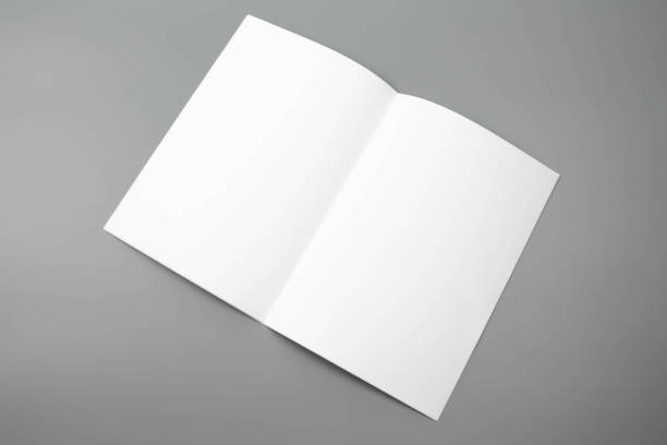 istock Blank portrait A4. brochure magazine isolated on gray, changeable background / white paper isolated on gray 975445816