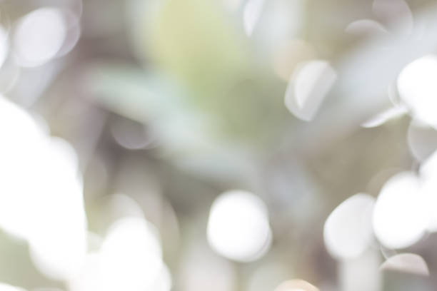 istock green blurred backdrop of nature, circle light wallpaper, white bokeh background 975451416