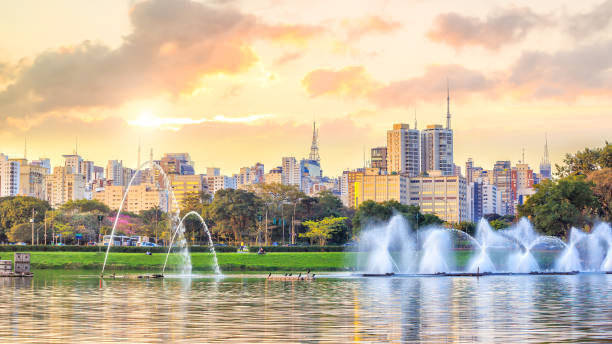 Sao Paulo skyline from Ibirapuera Park park Sao Paulo skyline from Parque Ibirapuera park in Brazil fountain photos stock pictures, royalty-free photos & images