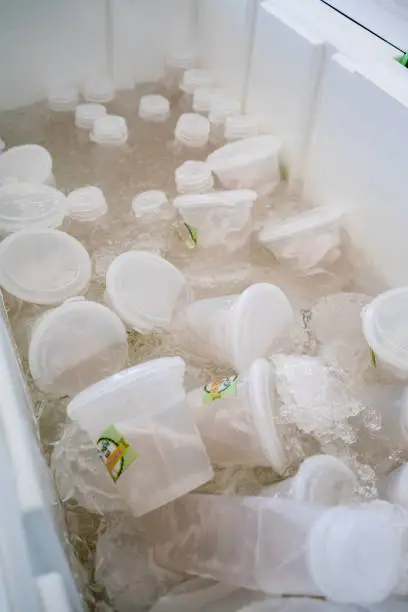 Photo of Young coconut water in plastic cups and bottles soaked in ice box for sale.