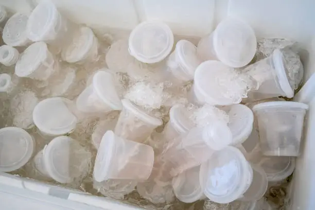 Photo of Young coconut water in plastic cups and bottles soaked in ice box for sale.