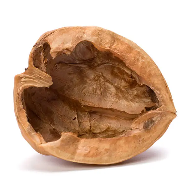 Circassian walnut shell over white background