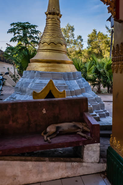 istock A sleeping dog on a bench at Kyaik Pun Pagoda, Bago, Myanmar 975486306