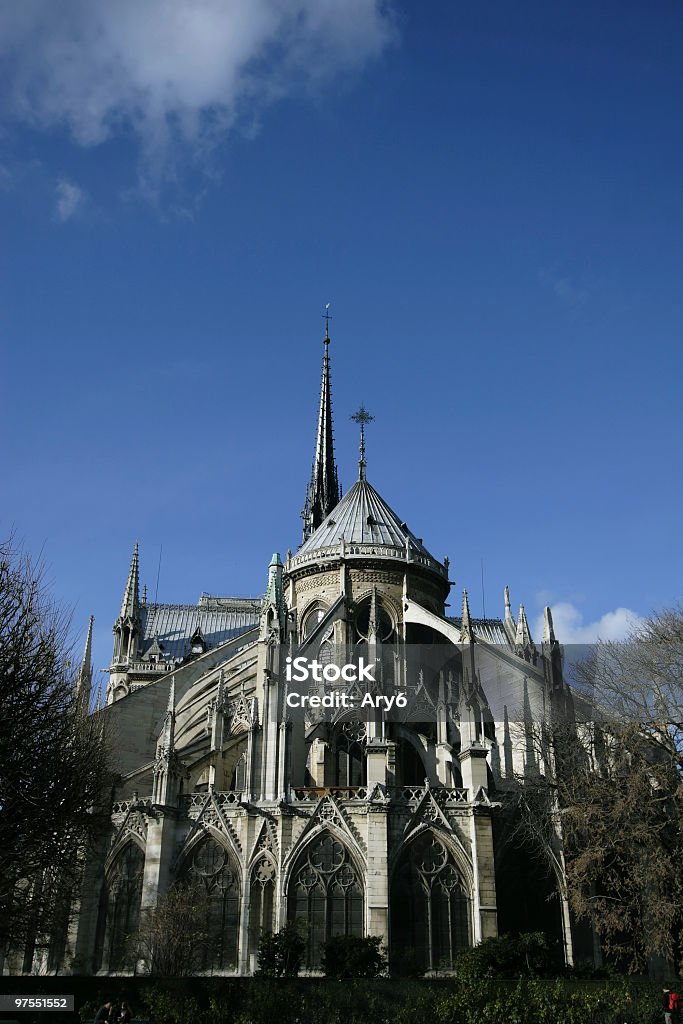 Notre Dame de Paris - Foto stock royalty-free di Albero