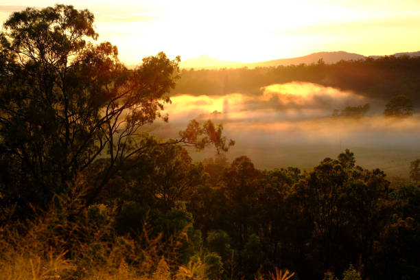 matin brumeux vue au-dessus de la zone de grandchester d’ipswich, queensland - grandchester photos et images de collection