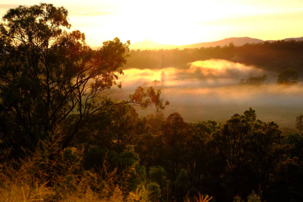 霧の朝の景色グランドチェ スター部クイーンズランド州イプスウィッチ - grandchester ストックフォトと画像