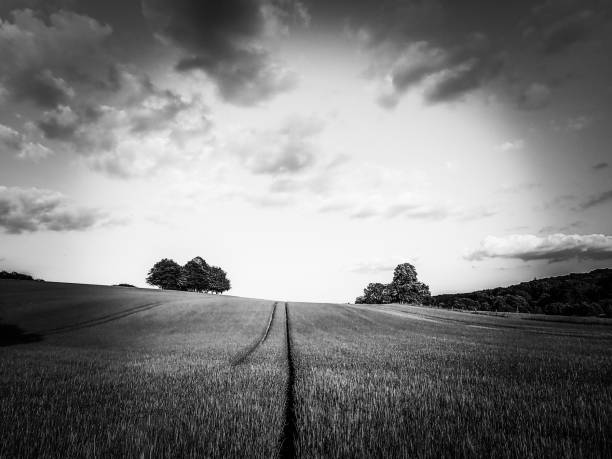 istock Tracks across arable field, Chess Valley, Buckinghamshire 975530050