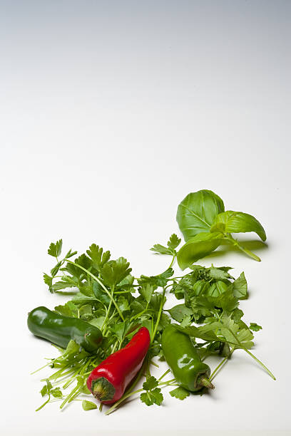 Red and Green Chillies with Parsley Basil stock photo